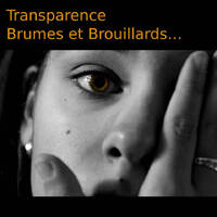 Transparence, Brumes et Brouillards&hellip; - 2017