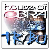 House of Obra Presents TRIBU by Obra Primitiva