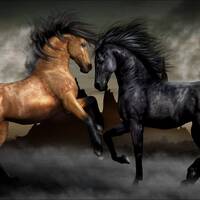 Uplifting Trance 2015 - Best Of by Johnny M