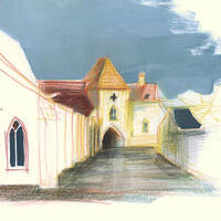 31.Corbeaux et pigeons by petit label