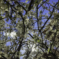 AyPalas 09.03.2026 @ ApAcik Radyo by Ay Palas