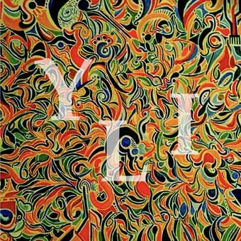 Your Living Illusion