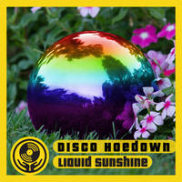 Disco Hoe Down Throw Down - Liquid Sunshine @ The Face Radio - Show #109 - 17-05-2022 by Liquid Sunshine