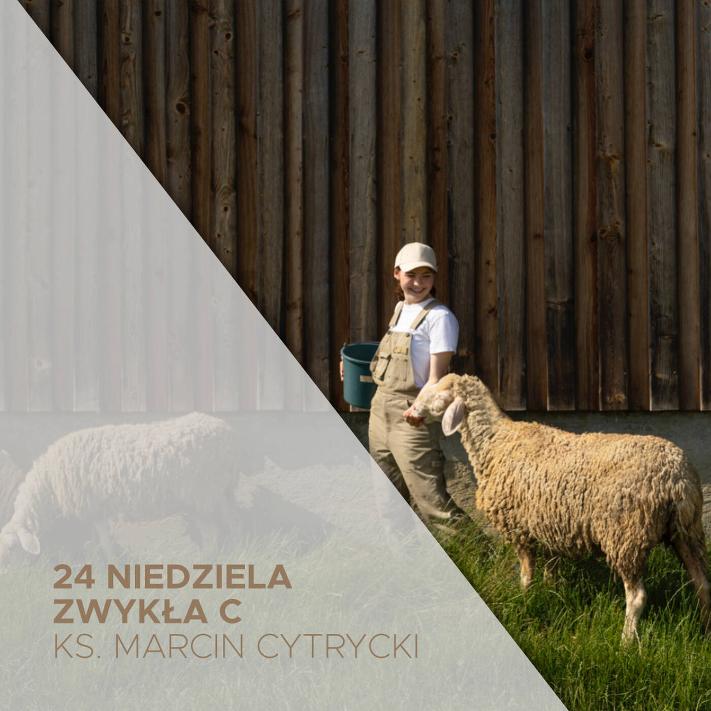 11.09.2022 - 24 Niedziela Zwykła C - ks. Marcin Cytrycki episode artwork