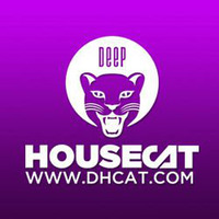 Deep House Cat Show - Covfefe Mix - feat. Patti Kane by Deep House Cat Show