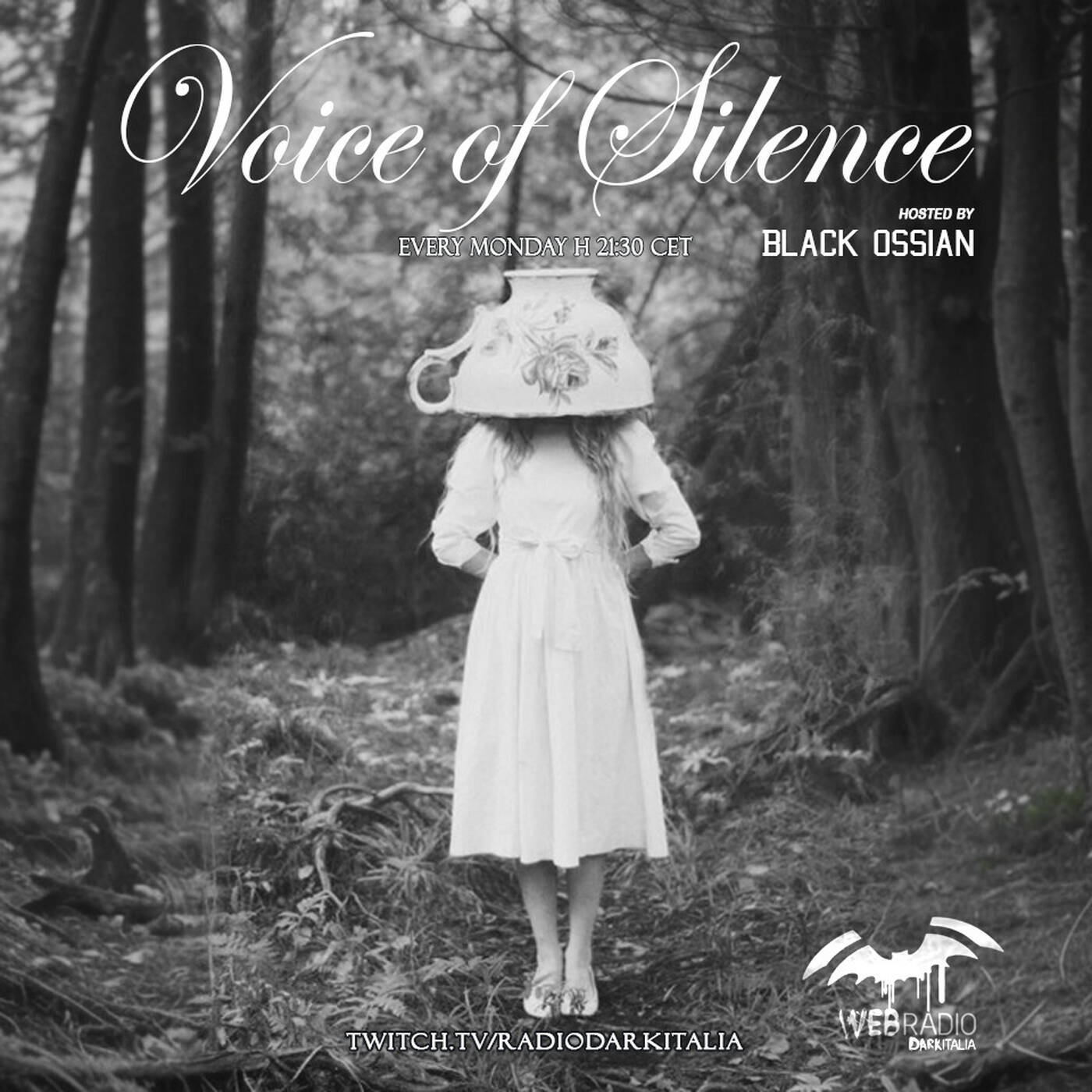 Voice of Silence 16.12.2024 *last episode of the year* episode artwork
