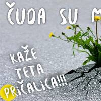 16.9.Poriluk Pričalica by Poriluk.com