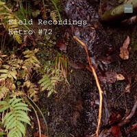 Field Recordings | Retro #72 by PG3A