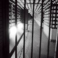 infections by nksbts