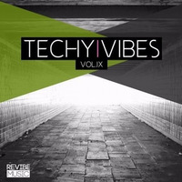 TECHY VIBES VOL. 9 - BRUNO KAUFFMANN &quot;MOVE MOVE&quot; REMIX FOR JEREMY BASS &amp; TEK DILUXE by bruno kauffmann