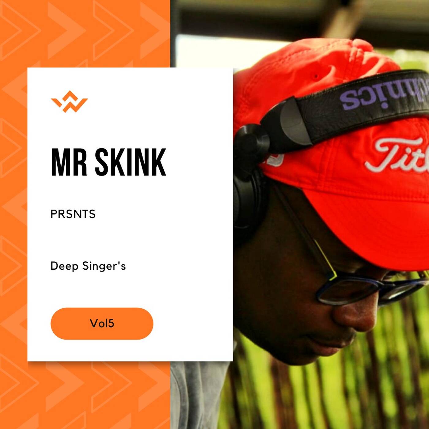 Mr Skink prsnts Deep Singers vol5 episode artwork
