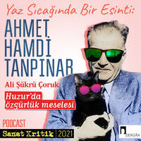 #13 Ali Şükrü Çoruk Anlatıyor: "Huzur'da Özgürlük Meselesi" by Sanat Kritik