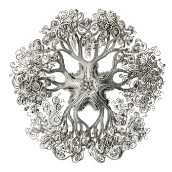 Deep Breakfast Series