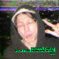 TRIPPLEHAZE - Mix For MONUMENTAL #111 by MONUMENTAL MIXES