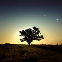 Jan Janzen - Contact by Jan Janzen