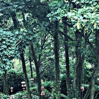 Cl&eacute;ment Voisin