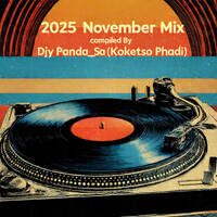 2025 November Mix by Deep Discovery Record Company