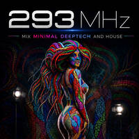 293Megahertz by Bertrand Martin