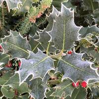 December 2023 Mix by Jim McCormack