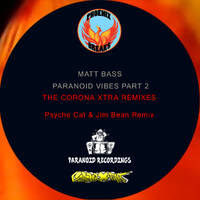 Matt Bass - Paranoid Vibes Part 2