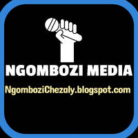 rudeboy - double_double_ft_phyno_olamide | Ngombozichezaly.blogspot.com by Ngombozi Chezaly