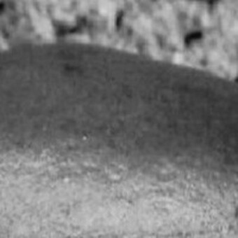 Ayoba S&aacute;nchez