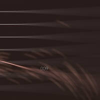 Dream Collector 009 by skism [archive 2024 ongoing]