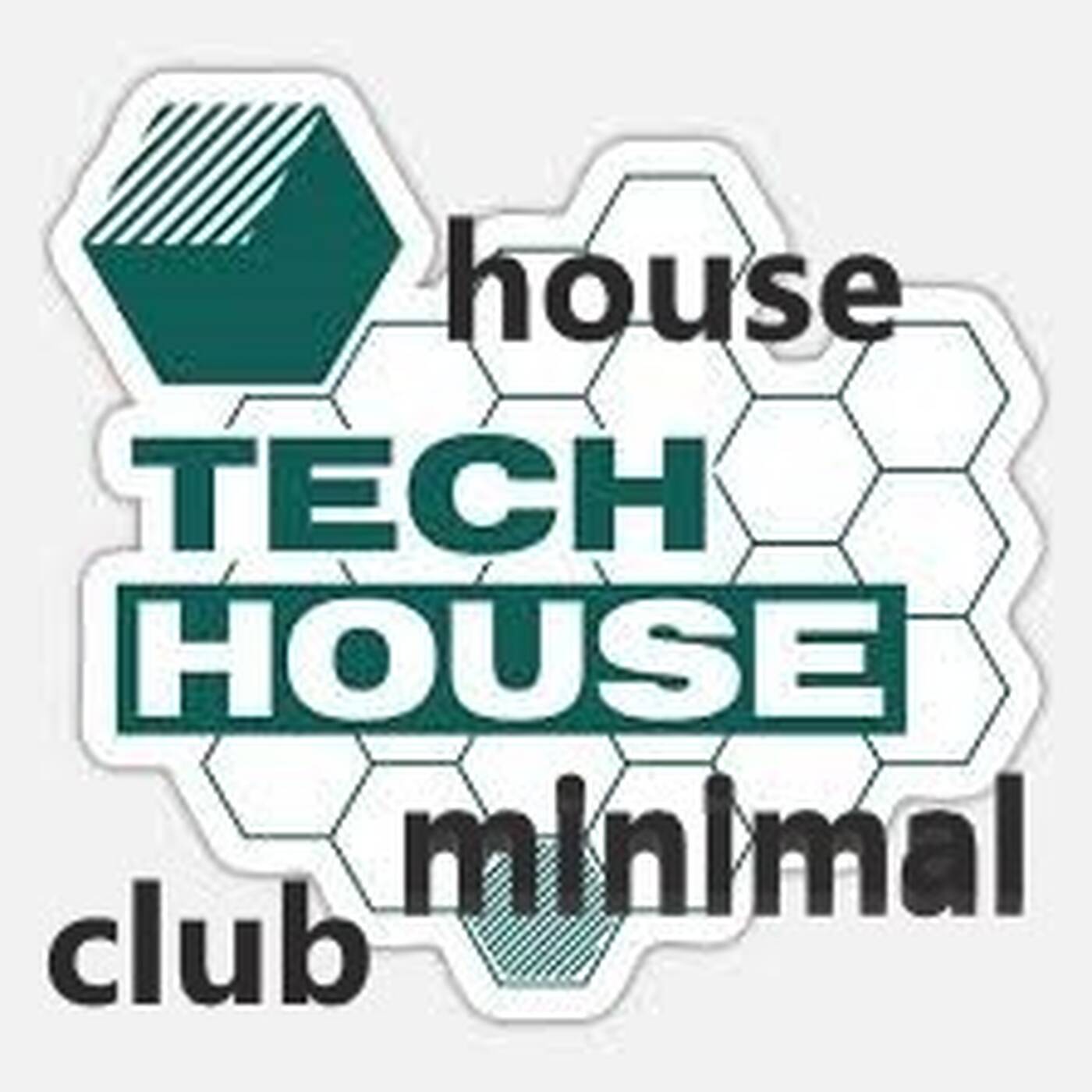 DJ ARI' S STYLE#HOUSE AND TECH HOUSE MINIMAL CLUB## episode artwork