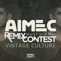 Vintage Culture - What U Want (The Marks RMX) by The Marks
