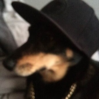 Степхан Браммер