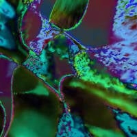 Sprinkle by Ray Cobley