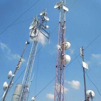 Mosqy Wariara Minott