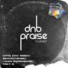 dNb Praise podCast