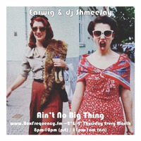 Earwig (Shoes) &amp; dj ShmeeJay – Ain’t No Big Thing - 2016-04-14 by dj ShmeeJay