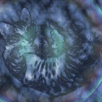 Nocturnal Visitations #003 [Radio Q37] by 語義 - gogi