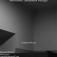 Melodic Sounds Vol30 By Les 2025 by Deejay Les