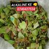 Alkaline KE