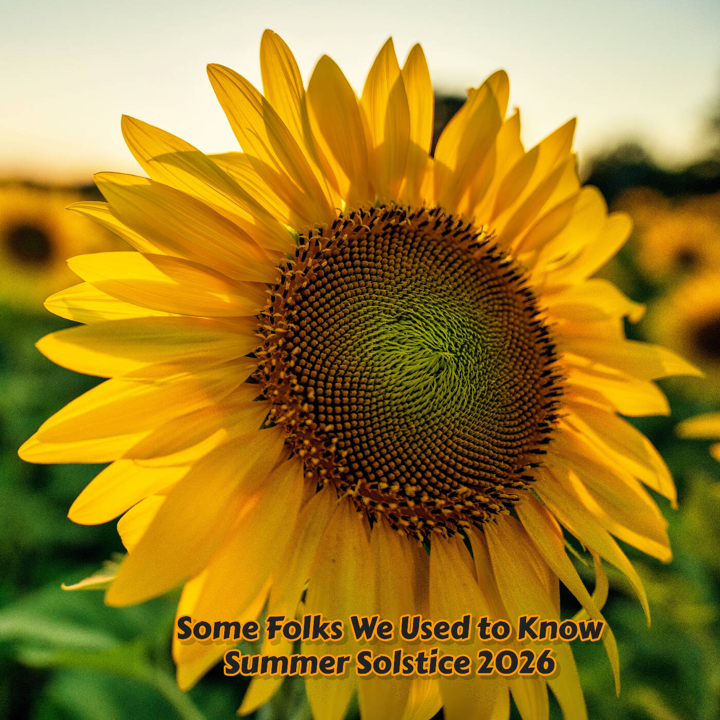Some Folks We Used to Know - Summer Solstice 2026 episode artwork