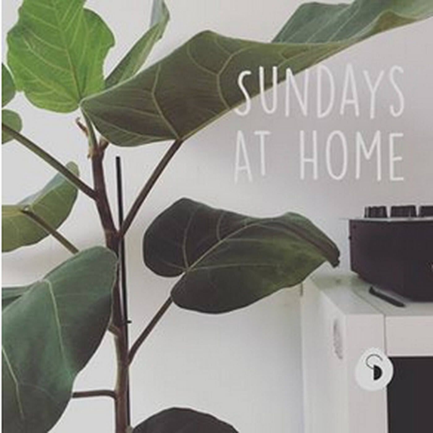   sundays at home 45 - fernando moya - 26.01.20 episode artwork