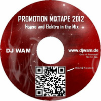House &amp; Electro Mixtape 2012 by DJ WAM