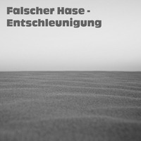 Falscher Hase - Entschleunigung (September 2014) by Falscher Hase