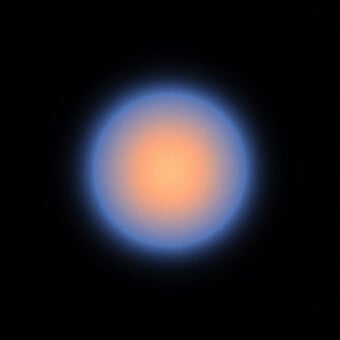 EnZi.1