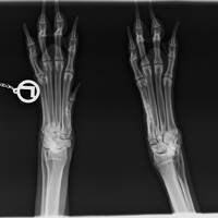 mellowdram - L I V E (Digital Distortion // Karlsruhe 2016) by ... by ...