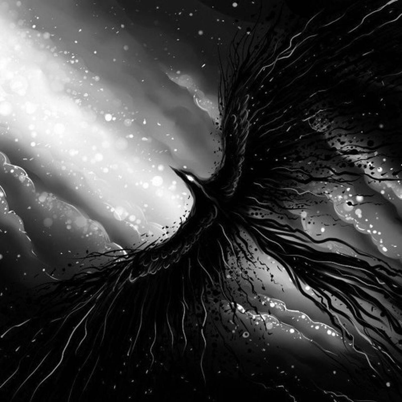 DJ Rhinoc - Black Pheonix episode artwork