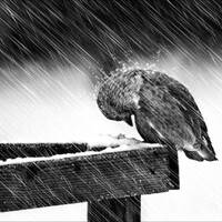 Auf Dieser Welt - (Blaise Remix) by Chris_Station