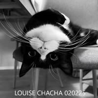 LOUISE CHACHA 020225 by louisechacha