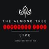The Almond Tree
