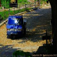 Selection30 Summermix 2022 by dauerwellen