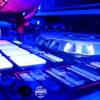 Vdeejay Nems