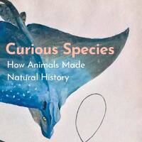 Curious Species How Animals Made Natural History by EnglishBooks